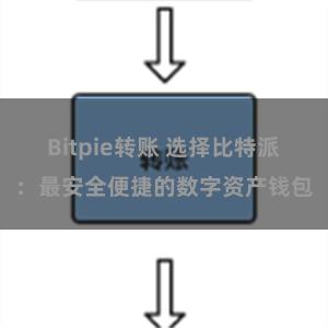 Bitpie转账 选择比特派：最安全便捷的数字资产钱包