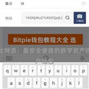 Bitpie钱包教程大全 选择比特派：最安全便捷的数字资产钱包