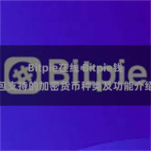 Bitpie在线 Bitpie钱包支持的加密货币种类及功能介绍