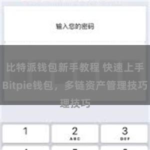 比特派钱包新手教程 快速上手Bitpie钱包，多链资产管理技巧