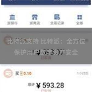 比特派支持 比特派：全方位保护用户数字资产安全