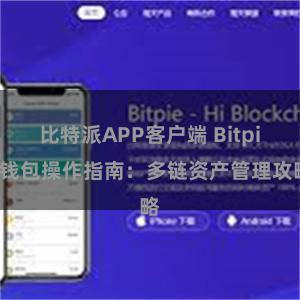 比特派APP客户端 Bitpie钱包操作指南：多链资产管理攻略