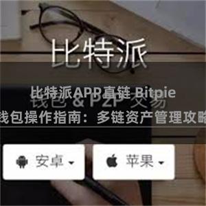 比特派APP直链 Bitpie钱包操作指南：多链资产管理攻略