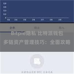 Bitpie隐私 比特派钱包多链资产管理技巧：全面攻略