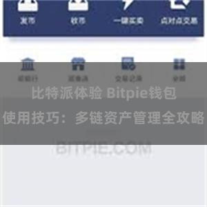 比特派体验 Bitpie钱包使用技巧：多链资产管理全攻略