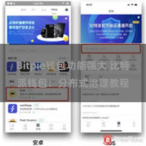 Bitpie钱包功能强大 比特派钱包：分布式治理教程