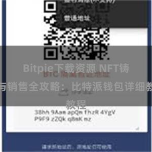 Bitpie下载资源 NFT铸造与销售全攻略：比特派钱包详细教程