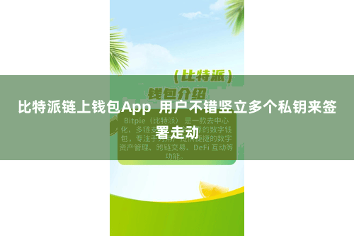 比特派链上钱包App  用户不错竖立多个私钥来签署走动