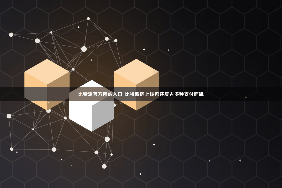 比特派官方网站入口  比特派链上钱包还复古多种支付面貌